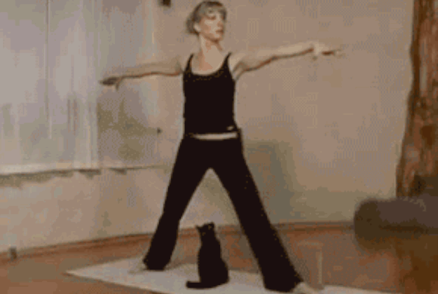 1287916932.gif