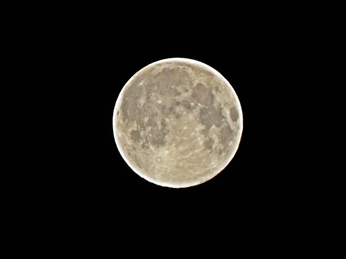 DSCN5114.JPG