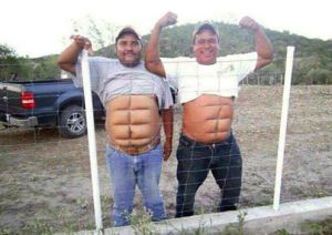 chickwire6pack.jpg