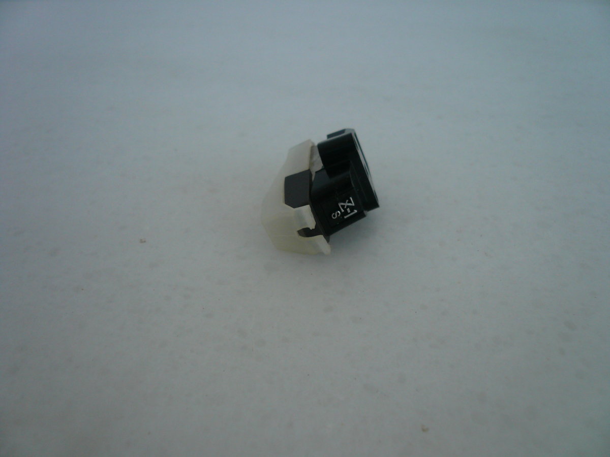 P1010096.JPG