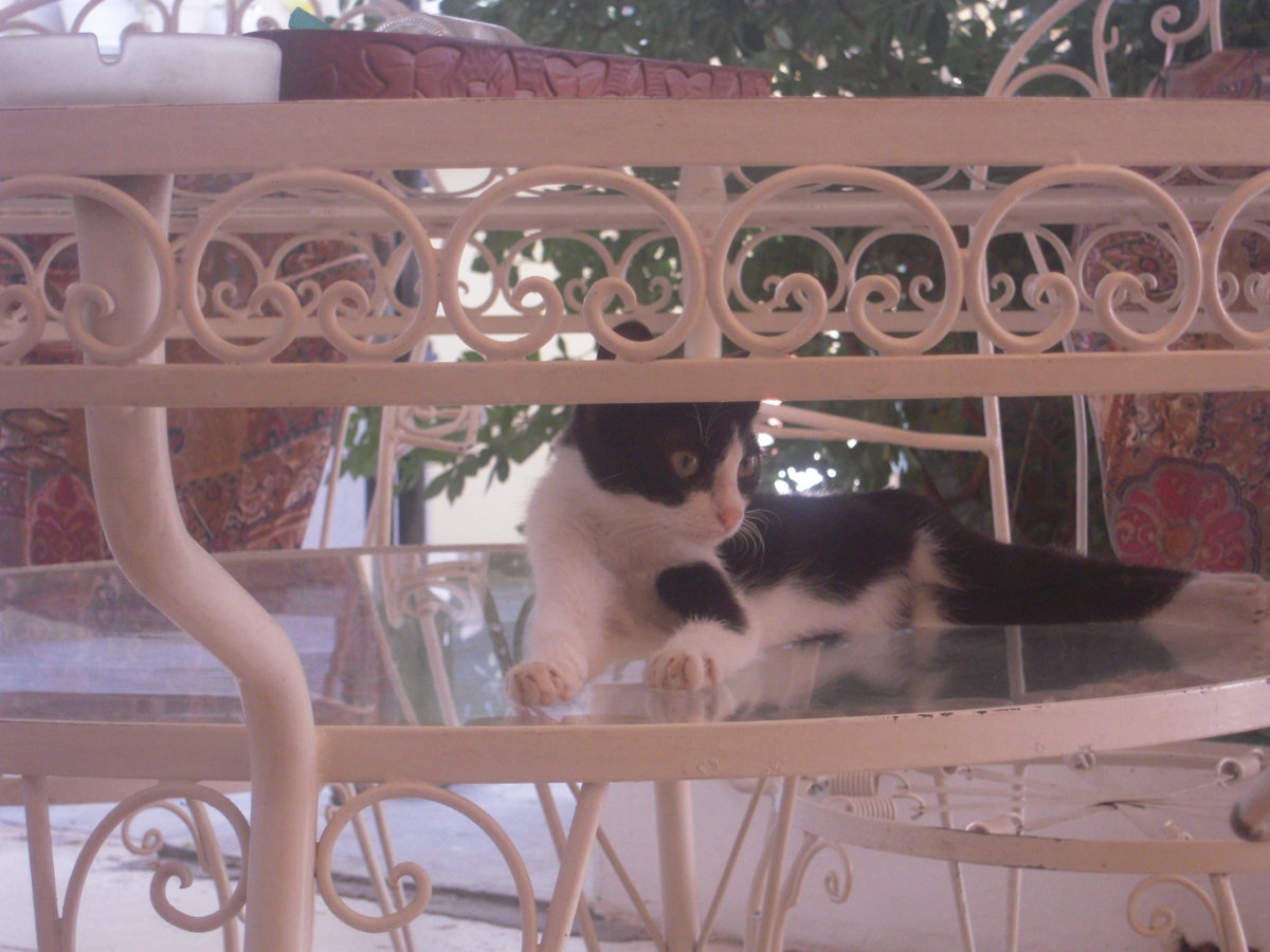 DSCN0766.JPG