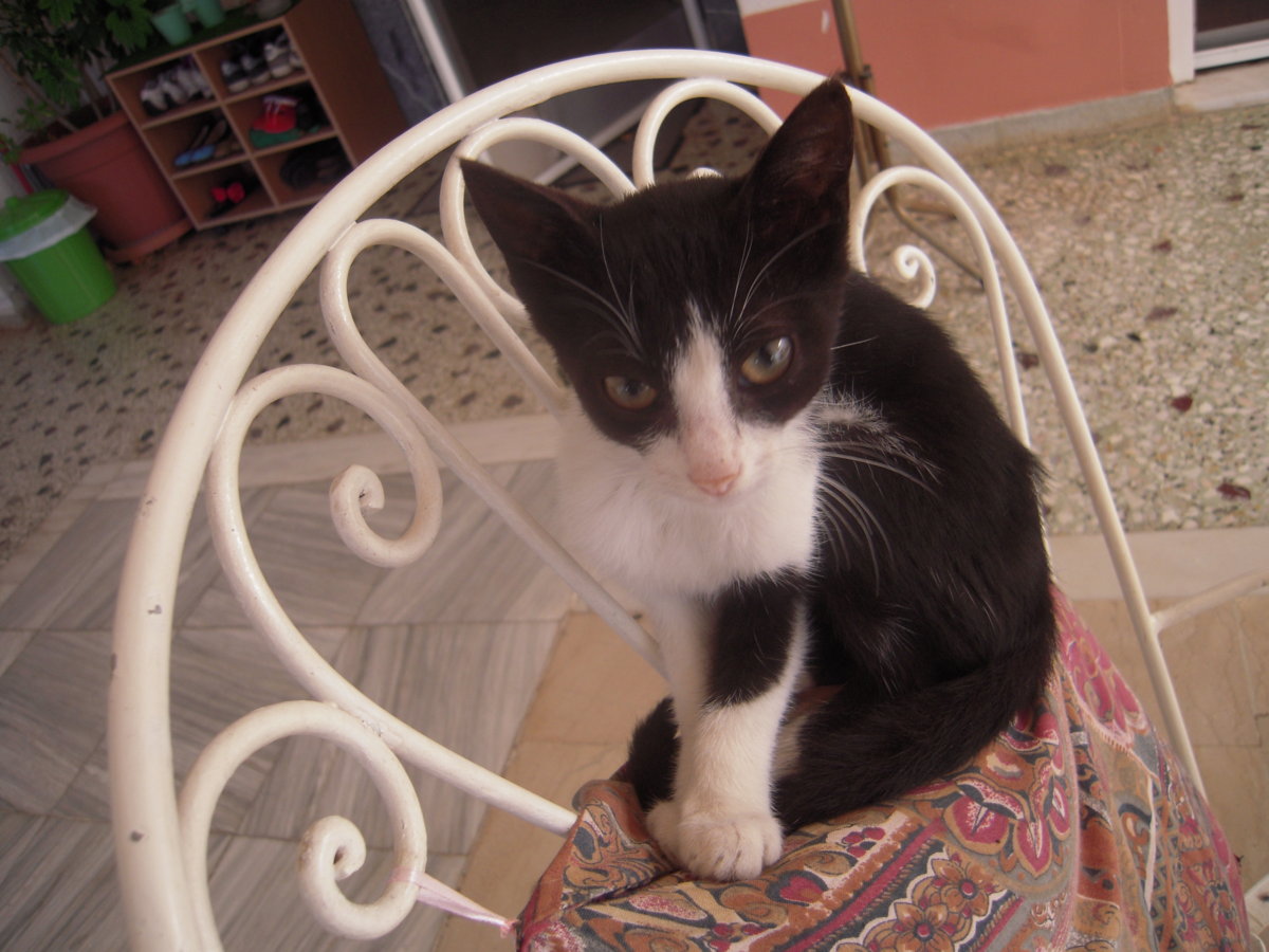DSCN0765.JPG