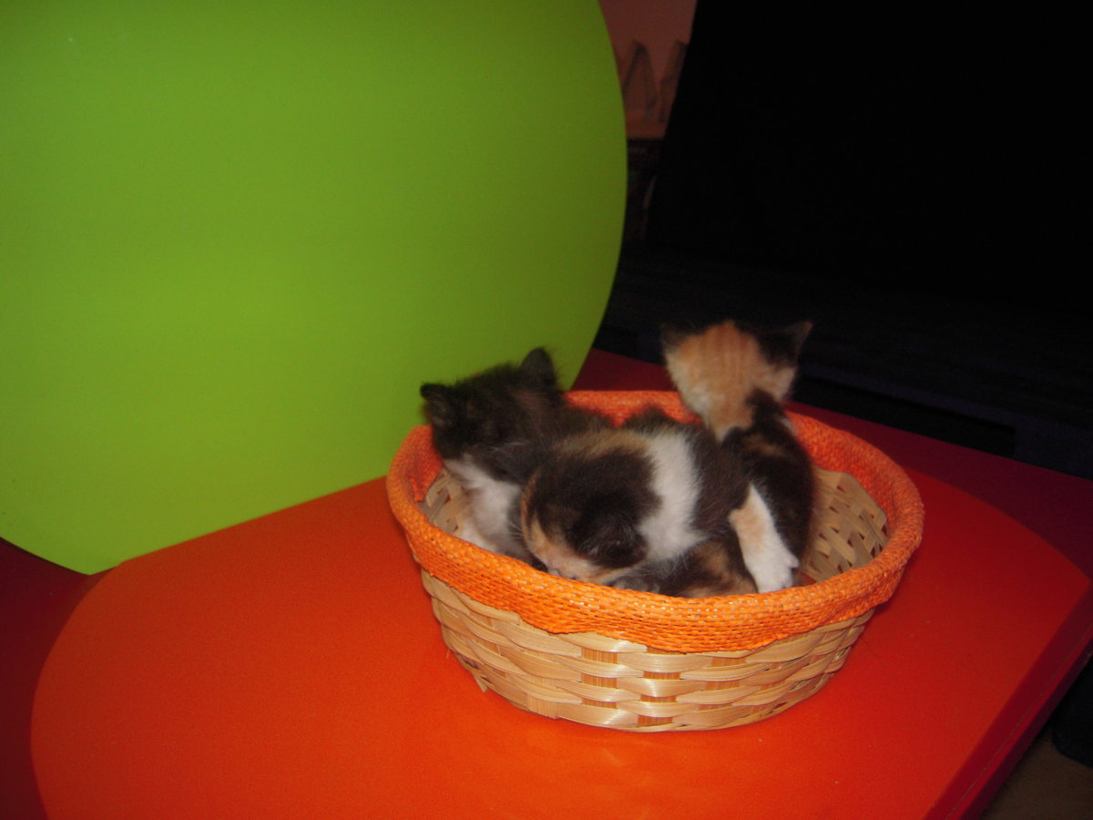 DSCN0808.JPG