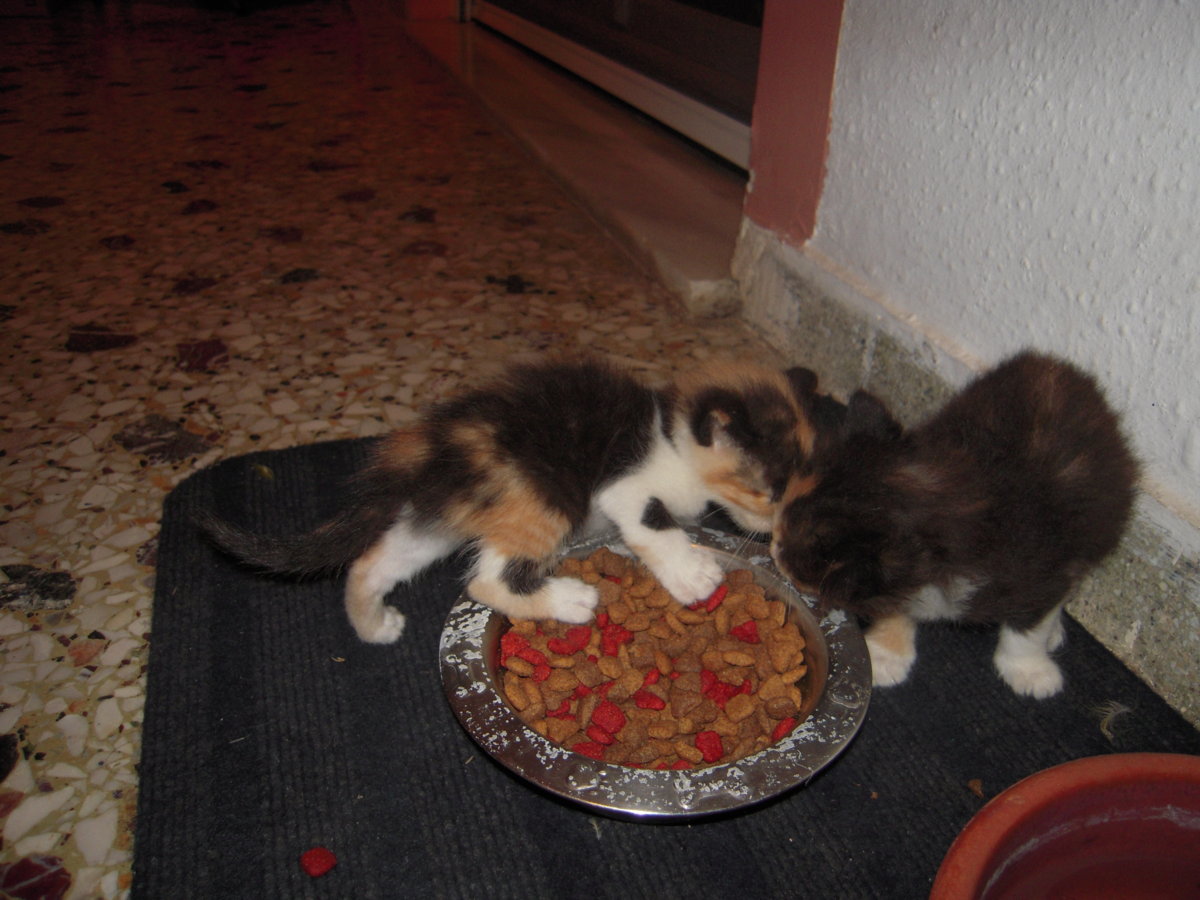 DSCN0813.JPG