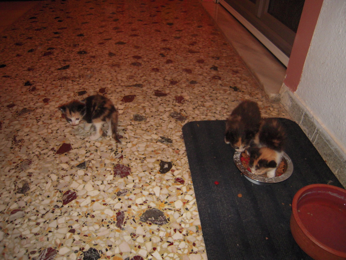 DSCN0814.JPG