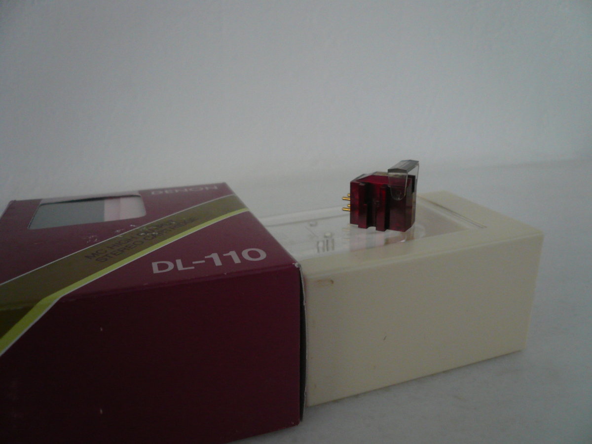 P1010067.JPG