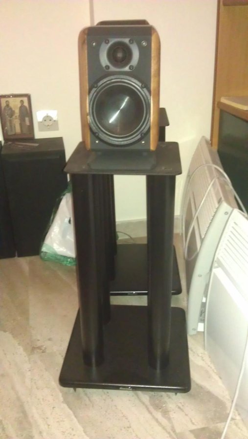 IMAG0519.jpg