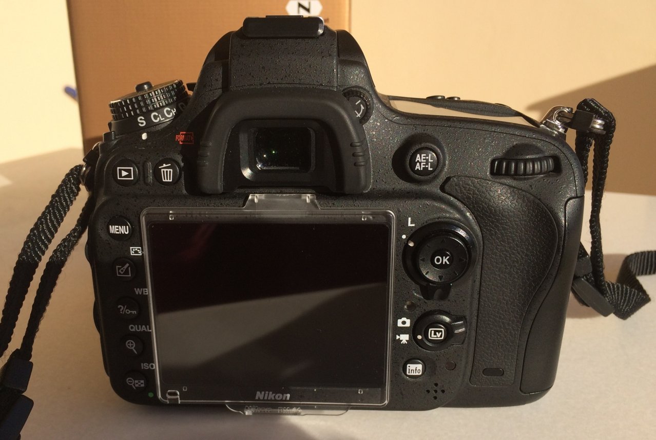 D 600 b.JPG