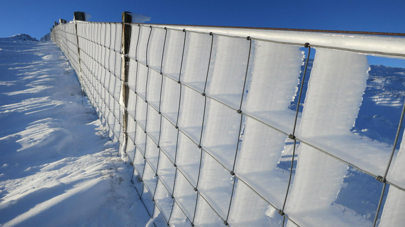 hard-rime-ice-on-a-fence.jpg
