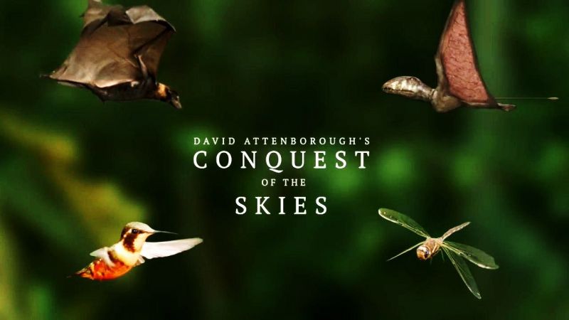 Conquest-of-the-Skies-Cover.jpg