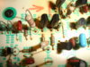 DSC03073.JPG