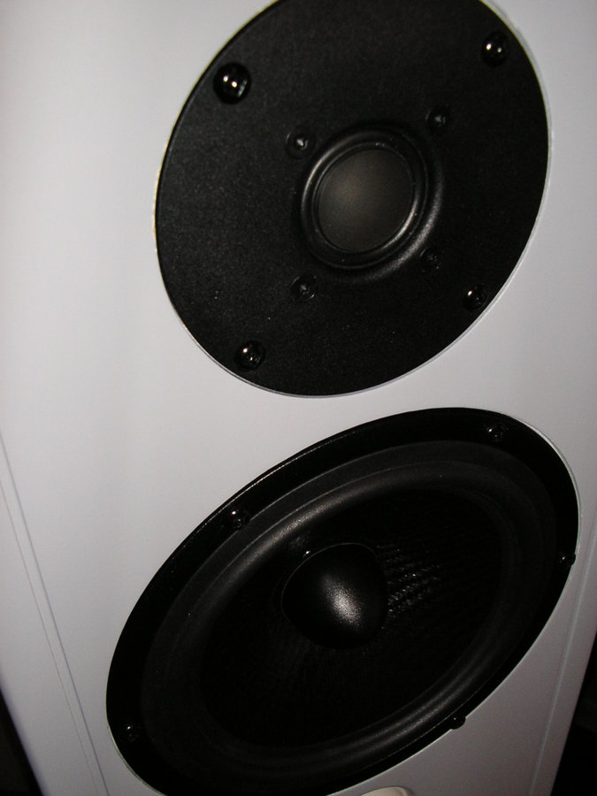 P1010007.JPG