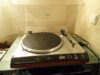 SDC13382.JPG
