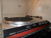 SDC13383.JPG