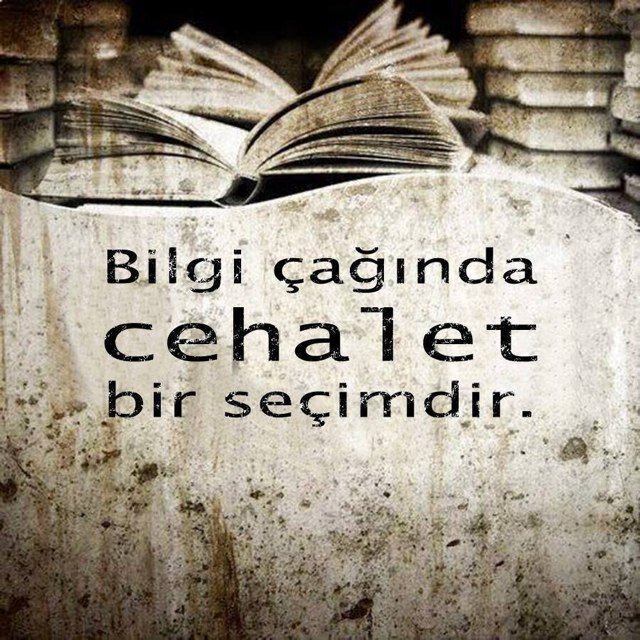 1dd21c86e50f61d8d4fe9332916b1384.jpeg