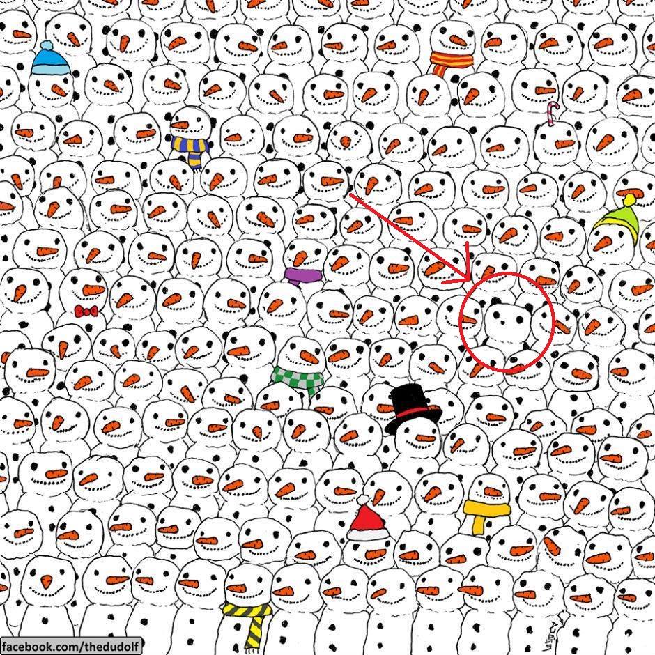 Panda.jpg