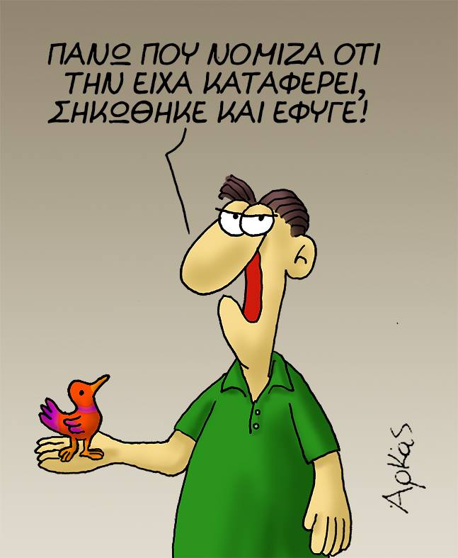 arkas15.jpg