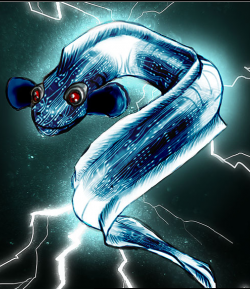 electric eel.png
