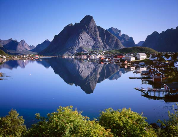 reine5.jpg