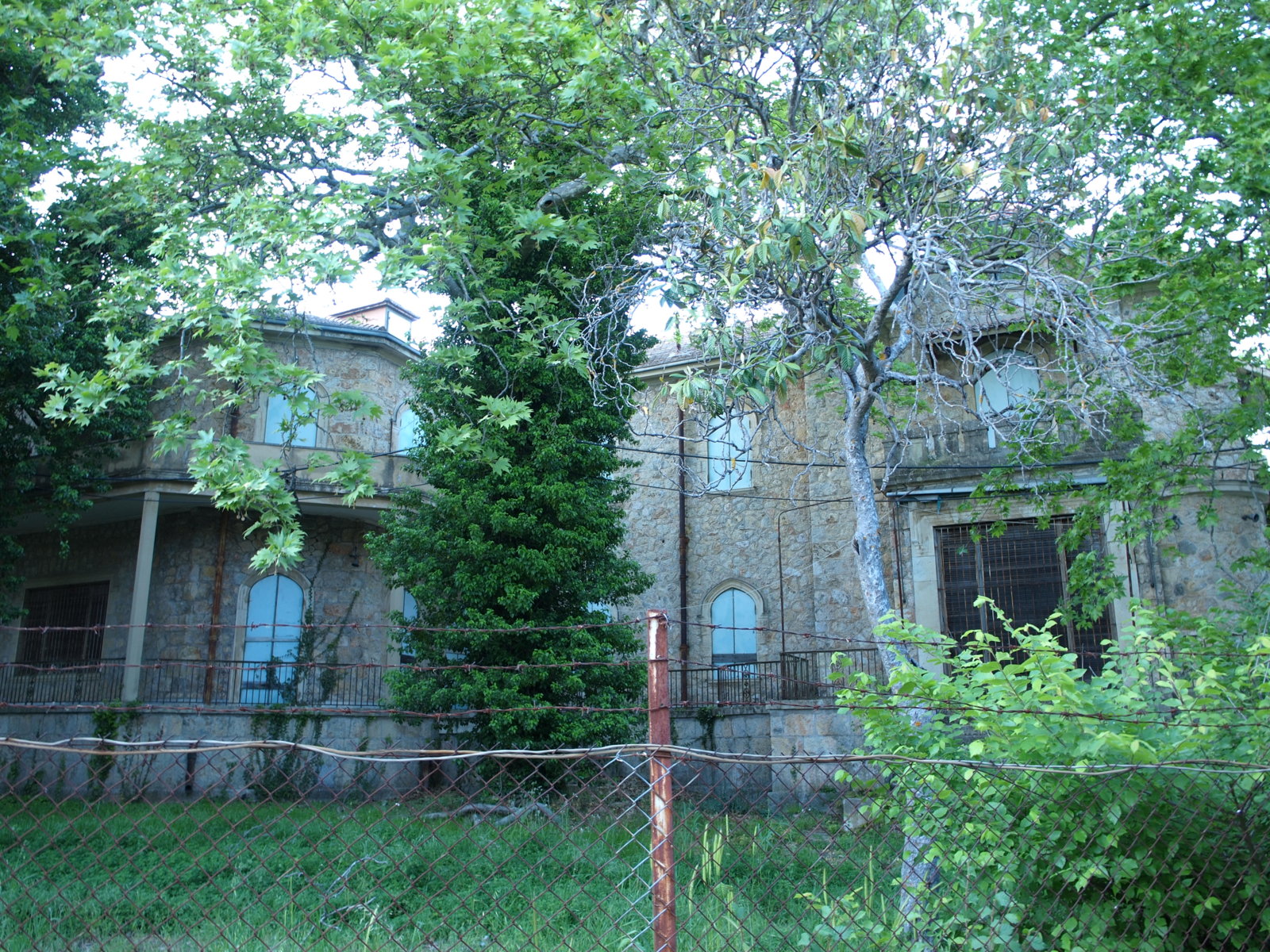 P4252326.JPG