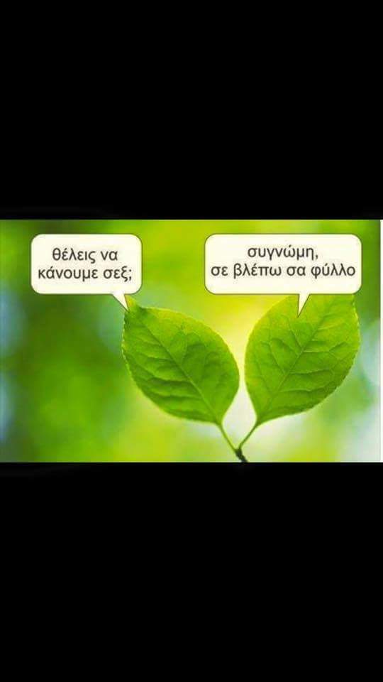 FB_IMG_1481383570926.jpg