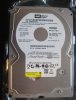 small IMG_1627.jpg