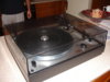 DSC01519.JPG