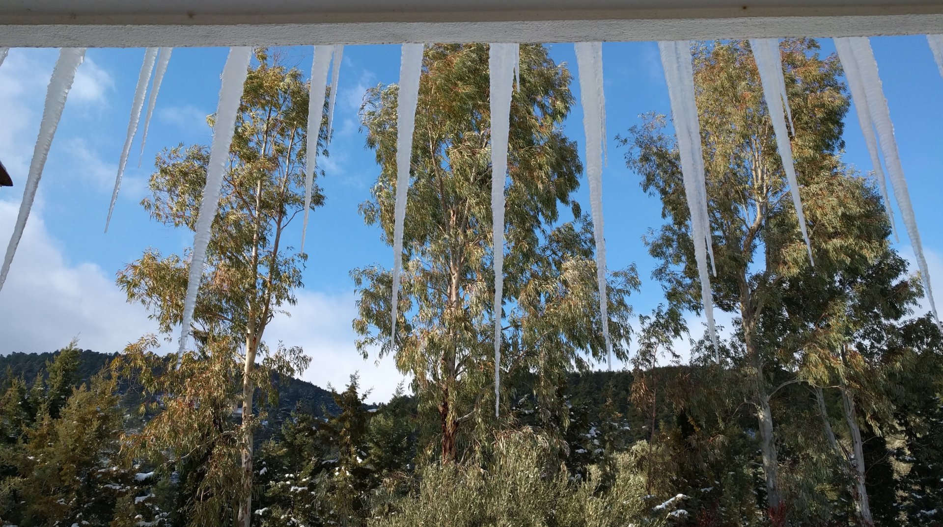 IMG_20170108_144410.jpg