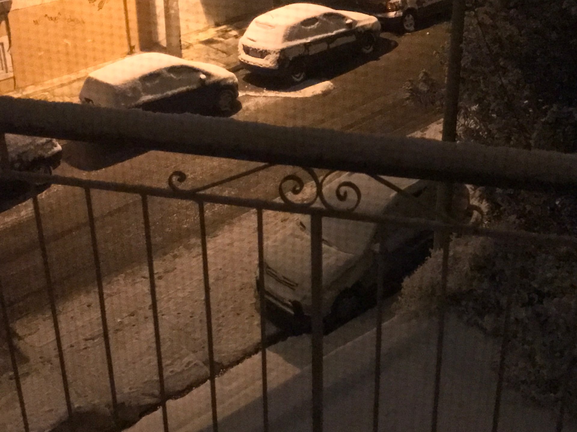 Snow.JPG