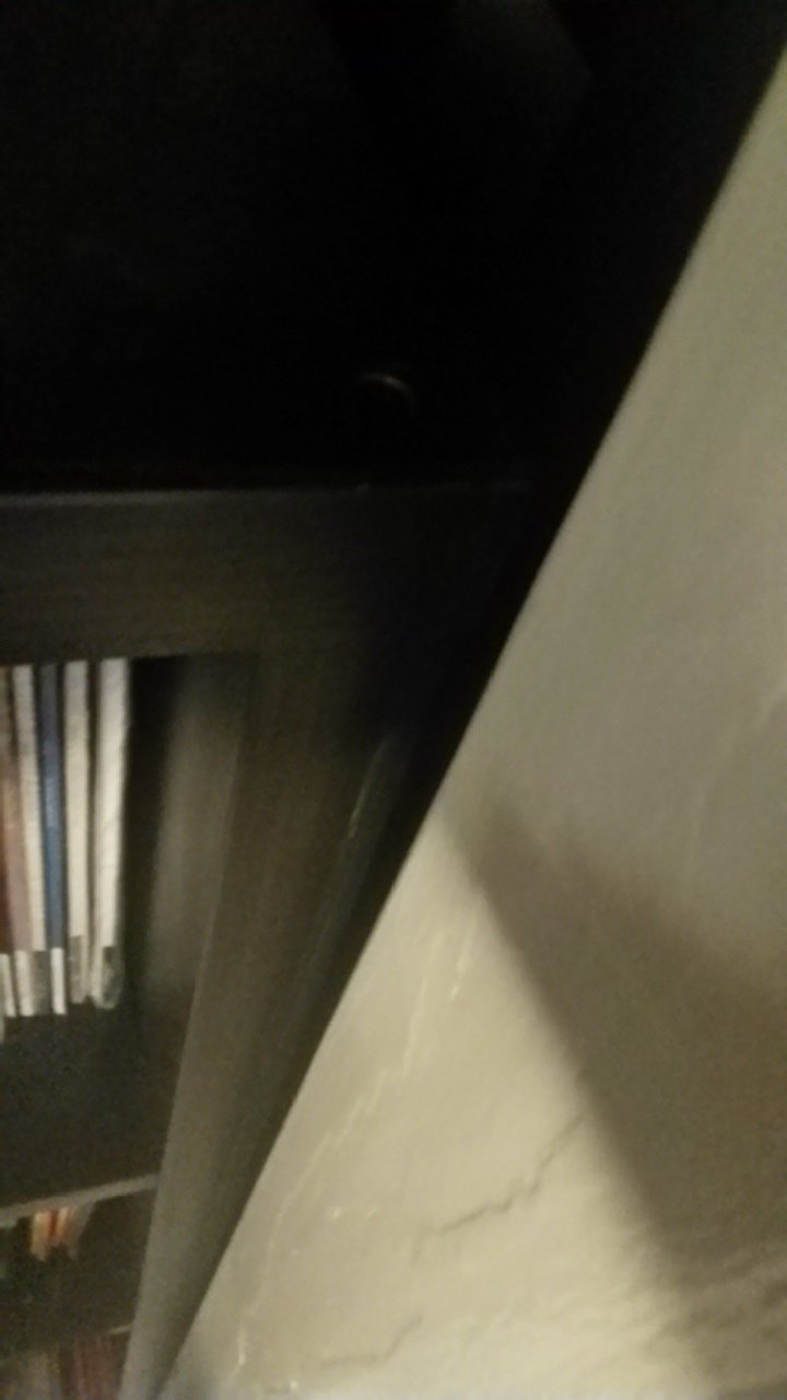 tmp_18815-20170110_233129_LLS2043937941.jpg