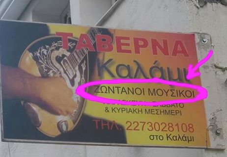 live musicians.jpg