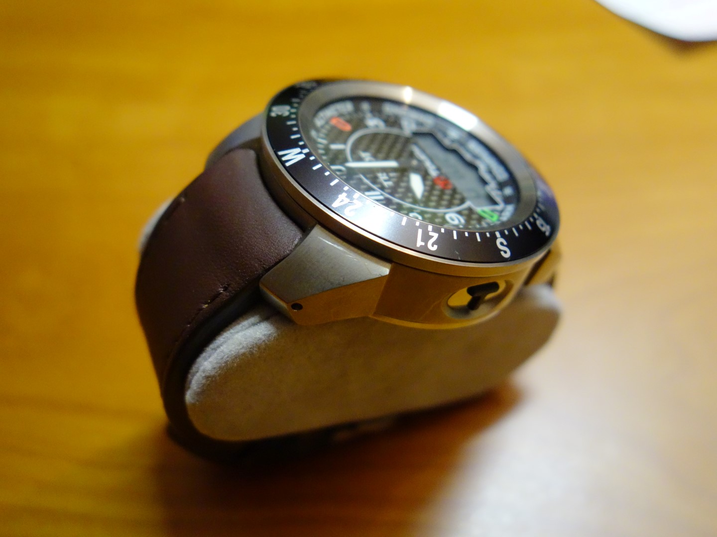 DSC05530 (Large).JPG