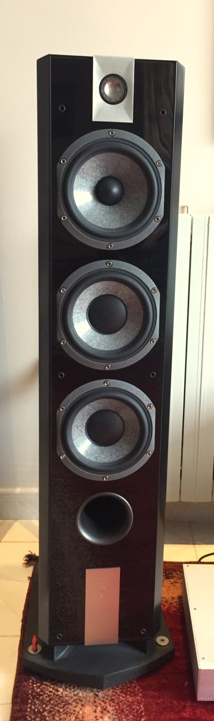 Focal 826W Limited Edition.jpg