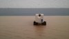 20170606_154256.jpg