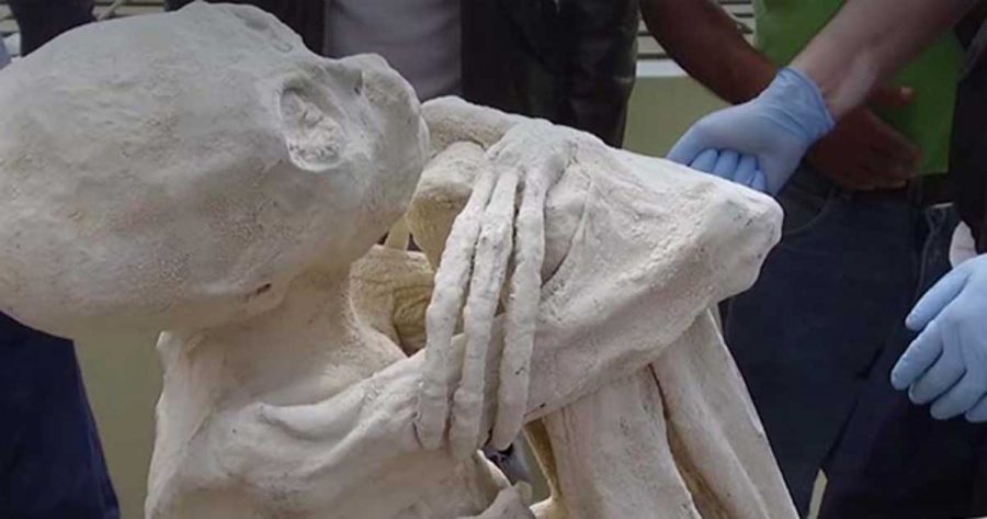 Mummified.jpg