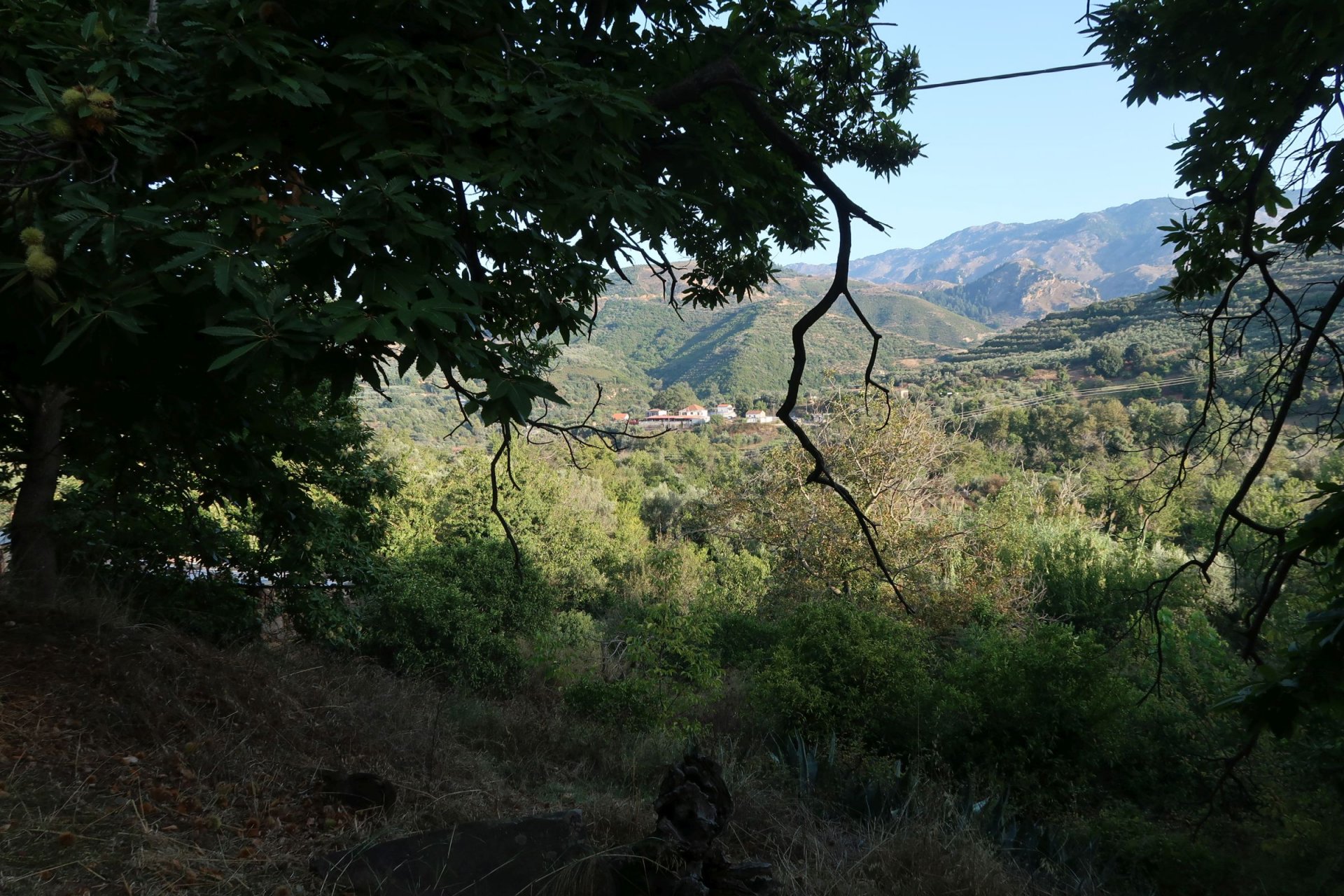 IMG_4287.JPG