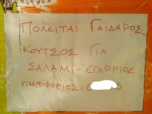 InkedAgeliaGaidarosSalami-310x233_LI.jpg