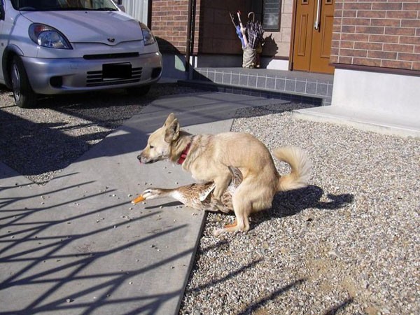 thumbnail_18_pics_92223.jpg