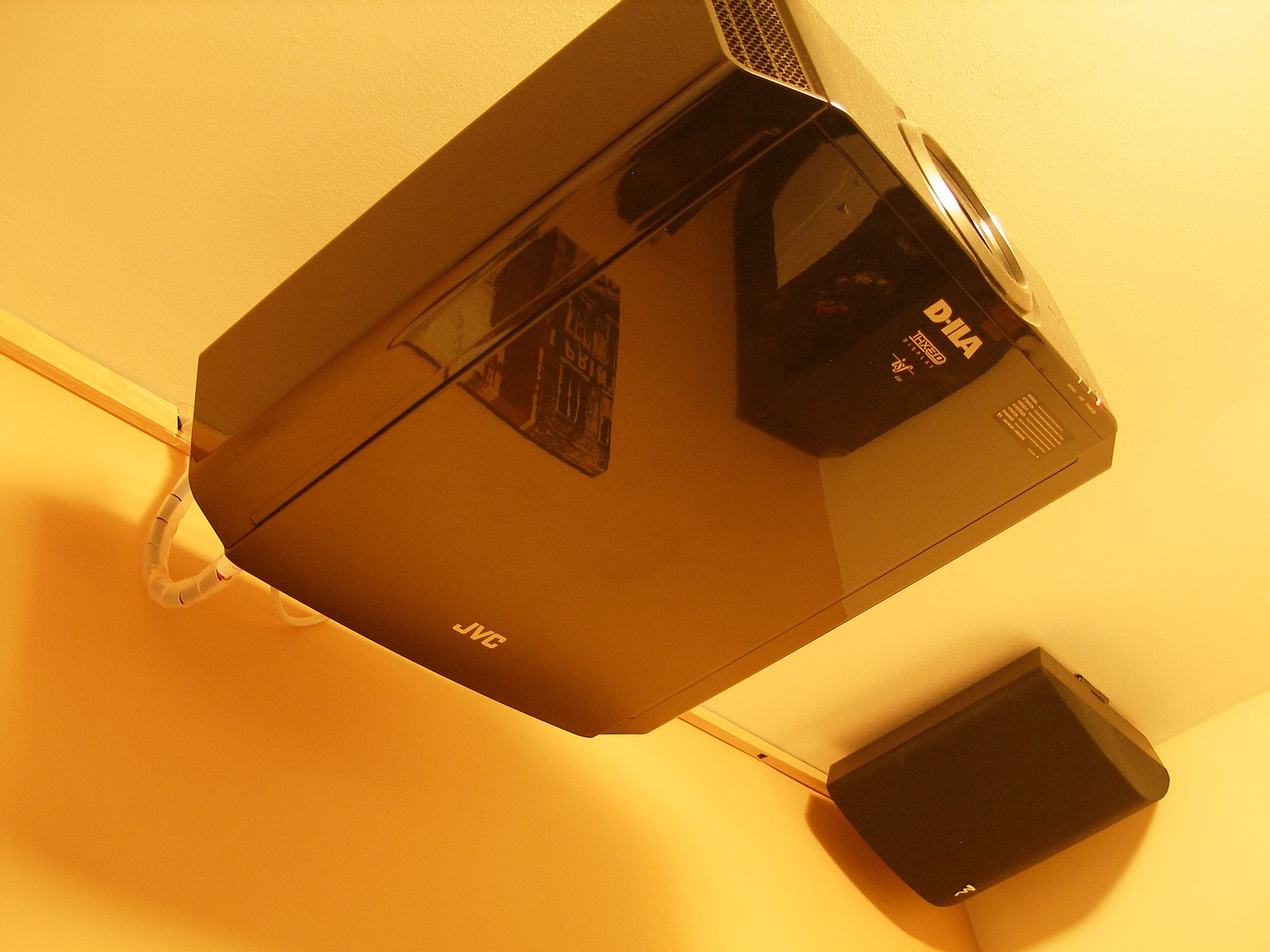 P1010249e.jpg