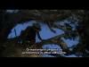 09E35B13-70D9-4C3A-ABD7-82C703991B44.png