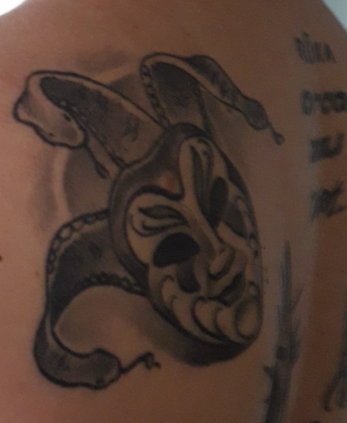 20180414_173948.jpg