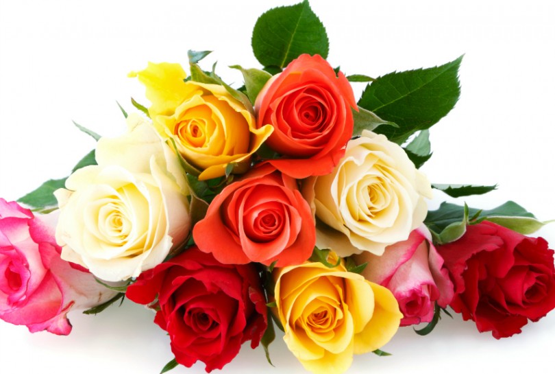21249-810x545.jpg