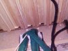 IMG_20170401_152231.jpg