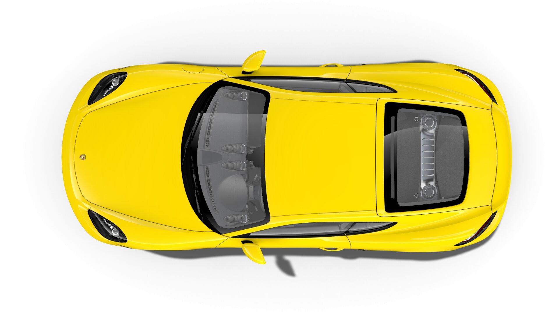 cayman yellow.jpeg