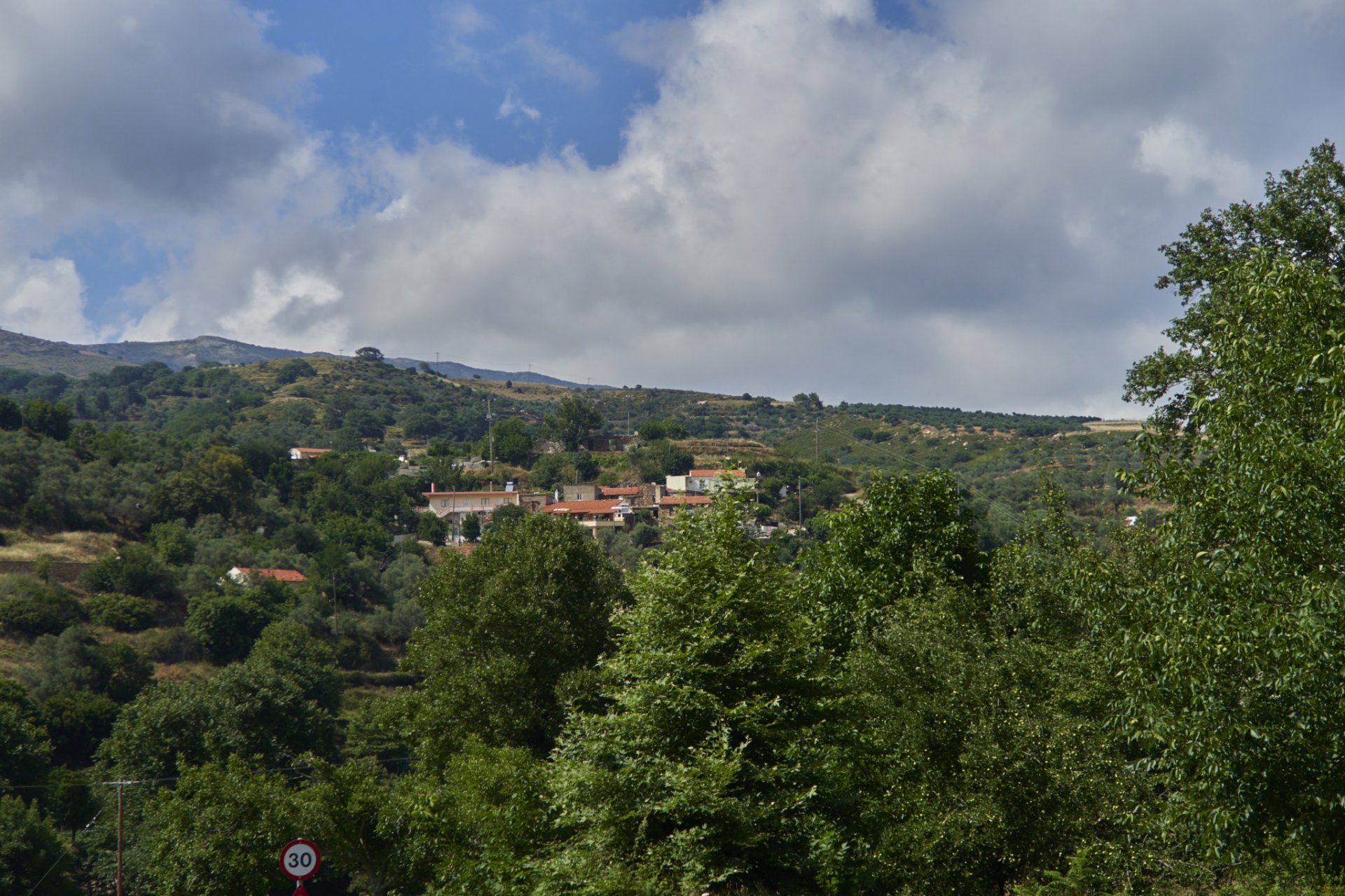 IMG_7352.jpg