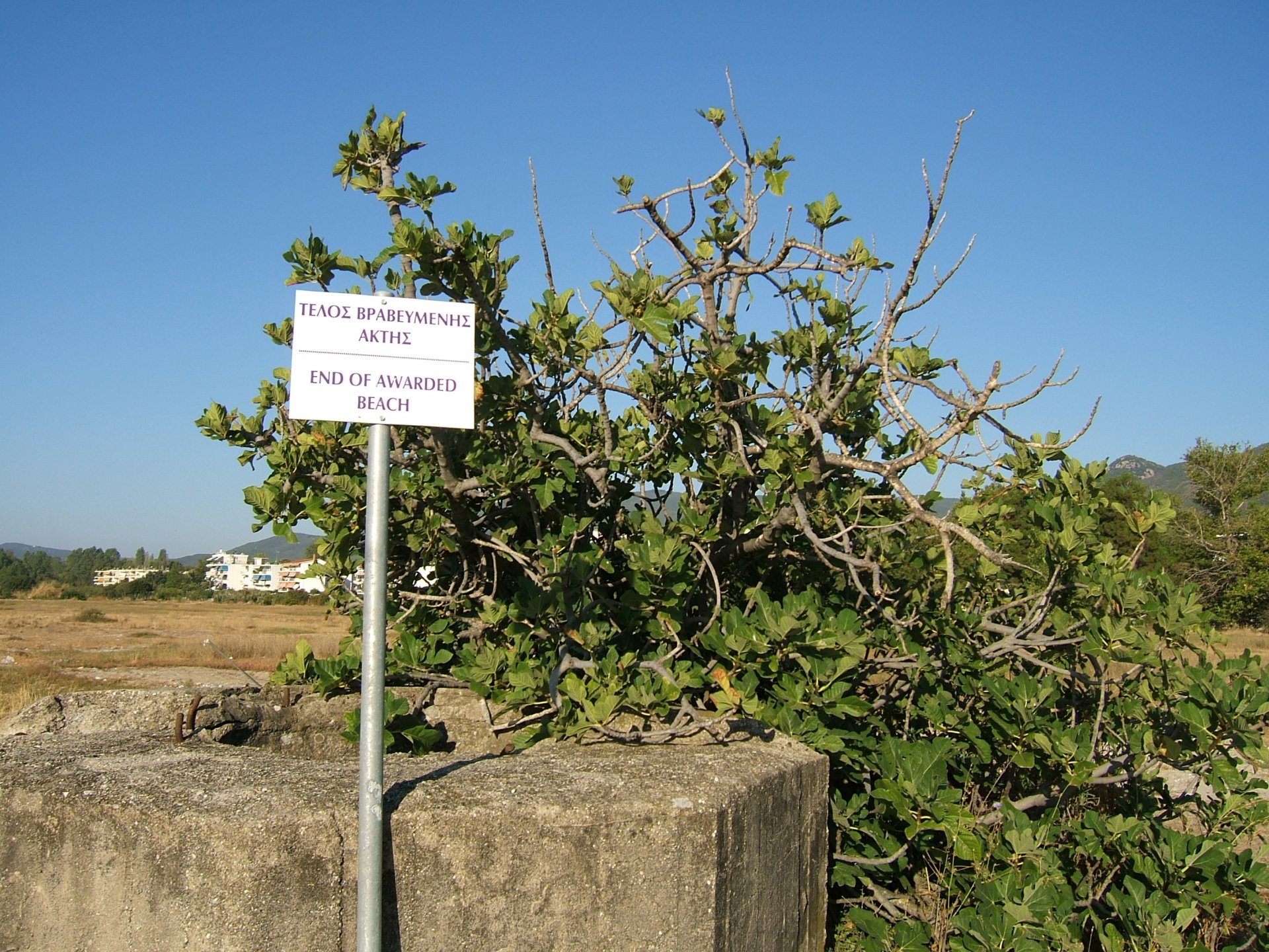 DSCF0440.JPG