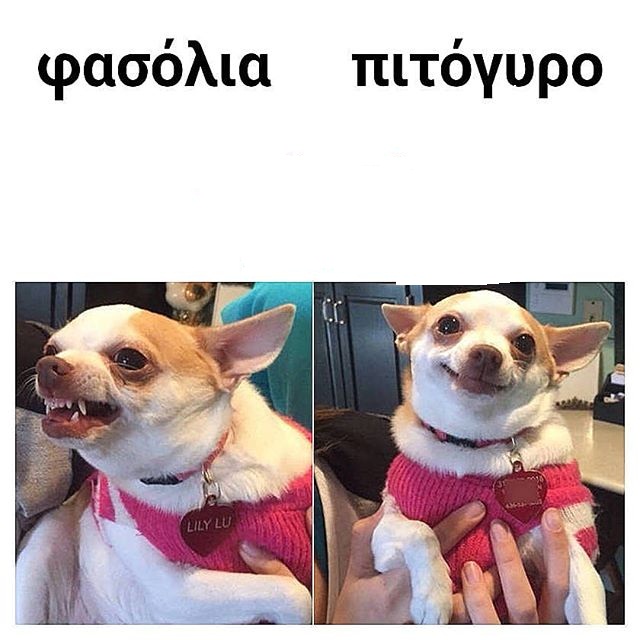 36557634_2601322193341980_4593982601319940096_n.jpg