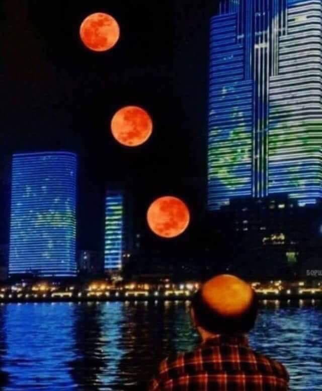 38125815_2033658679998165_1857610502692143104_n.jpg