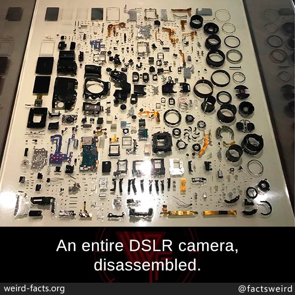 dslr.jpg