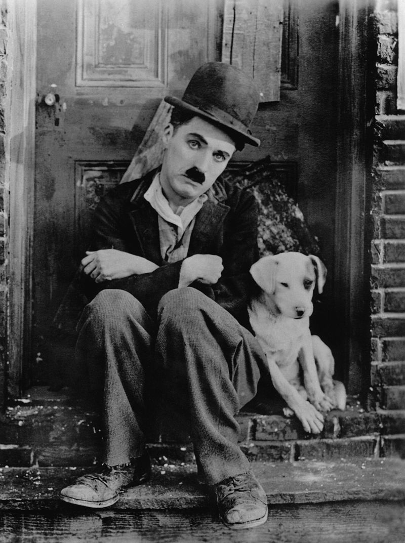 800px-Chaplin_A_Dogs_Life.jpg